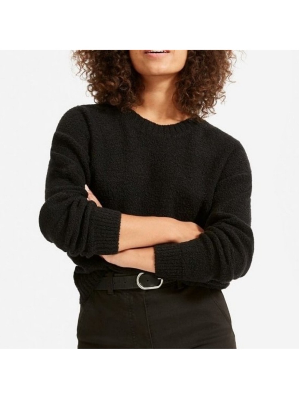 EVERLANE The Teddy Crew Neck wool Sweater
